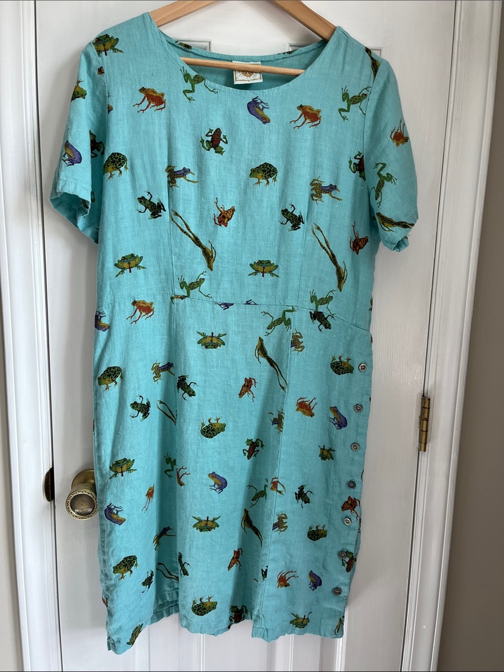 Tom Tom California Blue Linen Frog Dress